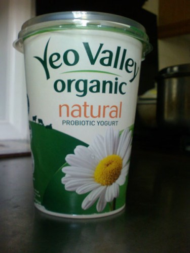 Delicious organic probiotic yogurt